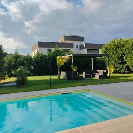 San Michele Apartments&Rooms Катандзаро Екстериор снимка