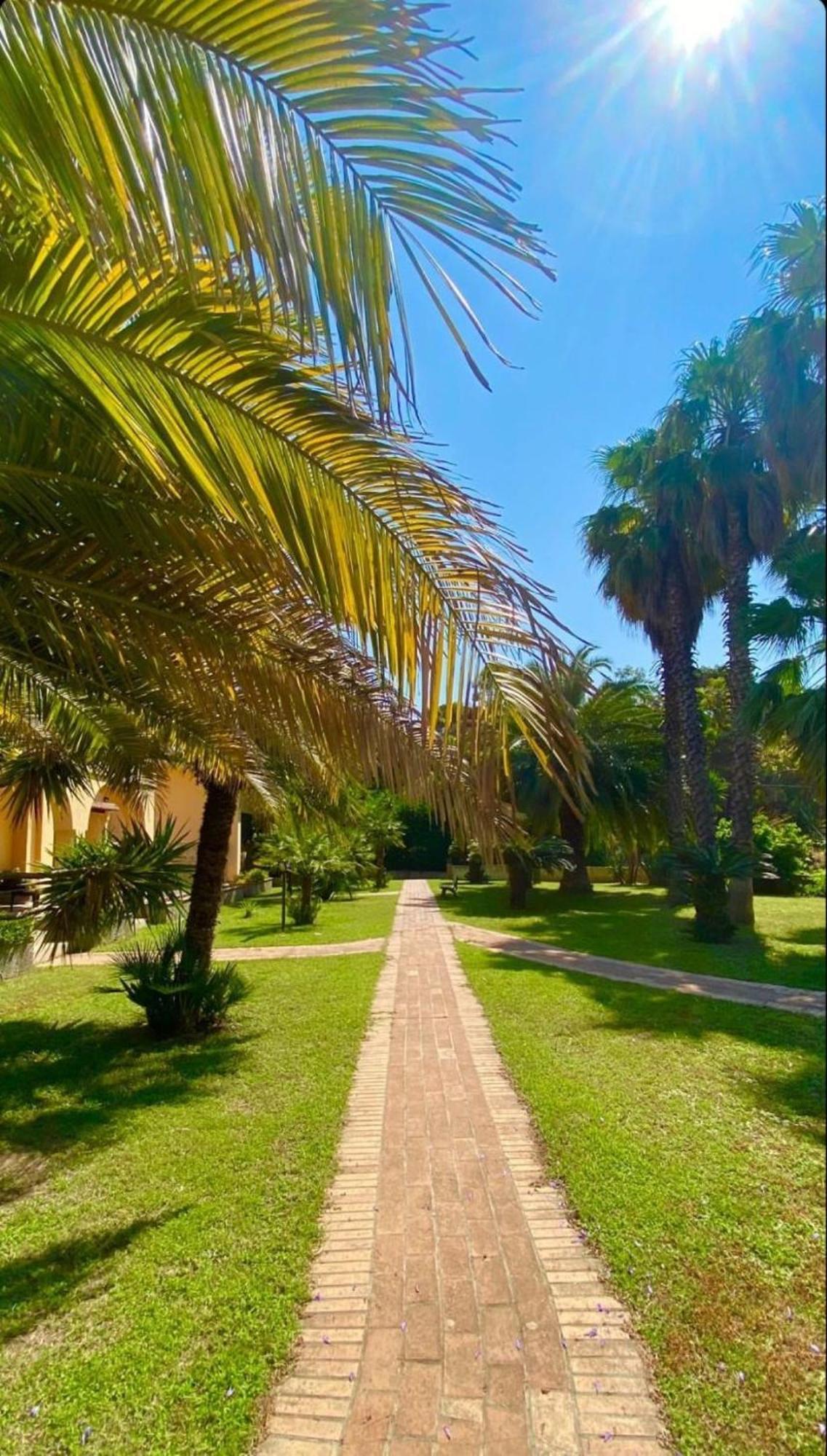 San Michele Apartments&Rooms Катандзаро Екстериор снимка