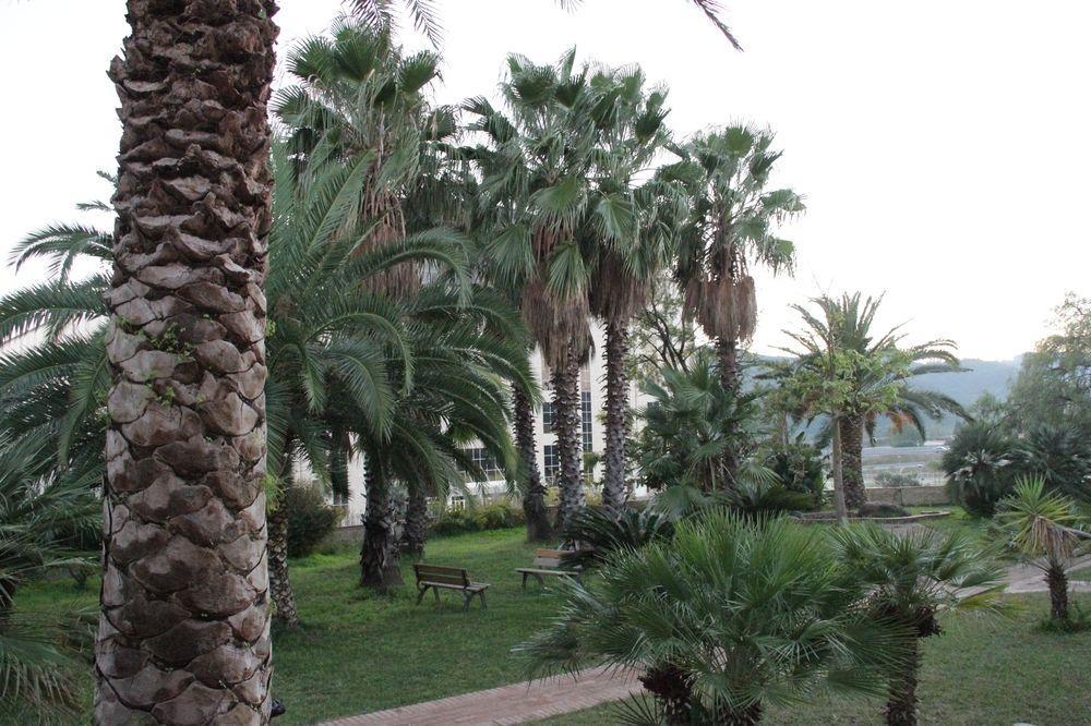 San Michele Apartments&Rooms Катандзаро Екстериор снимка